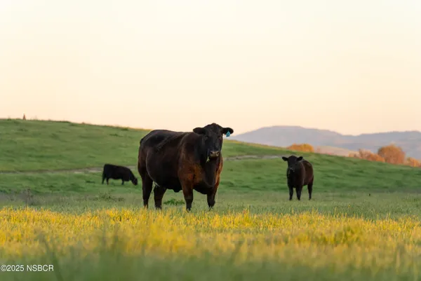 a view of an outdoor space and mountain view