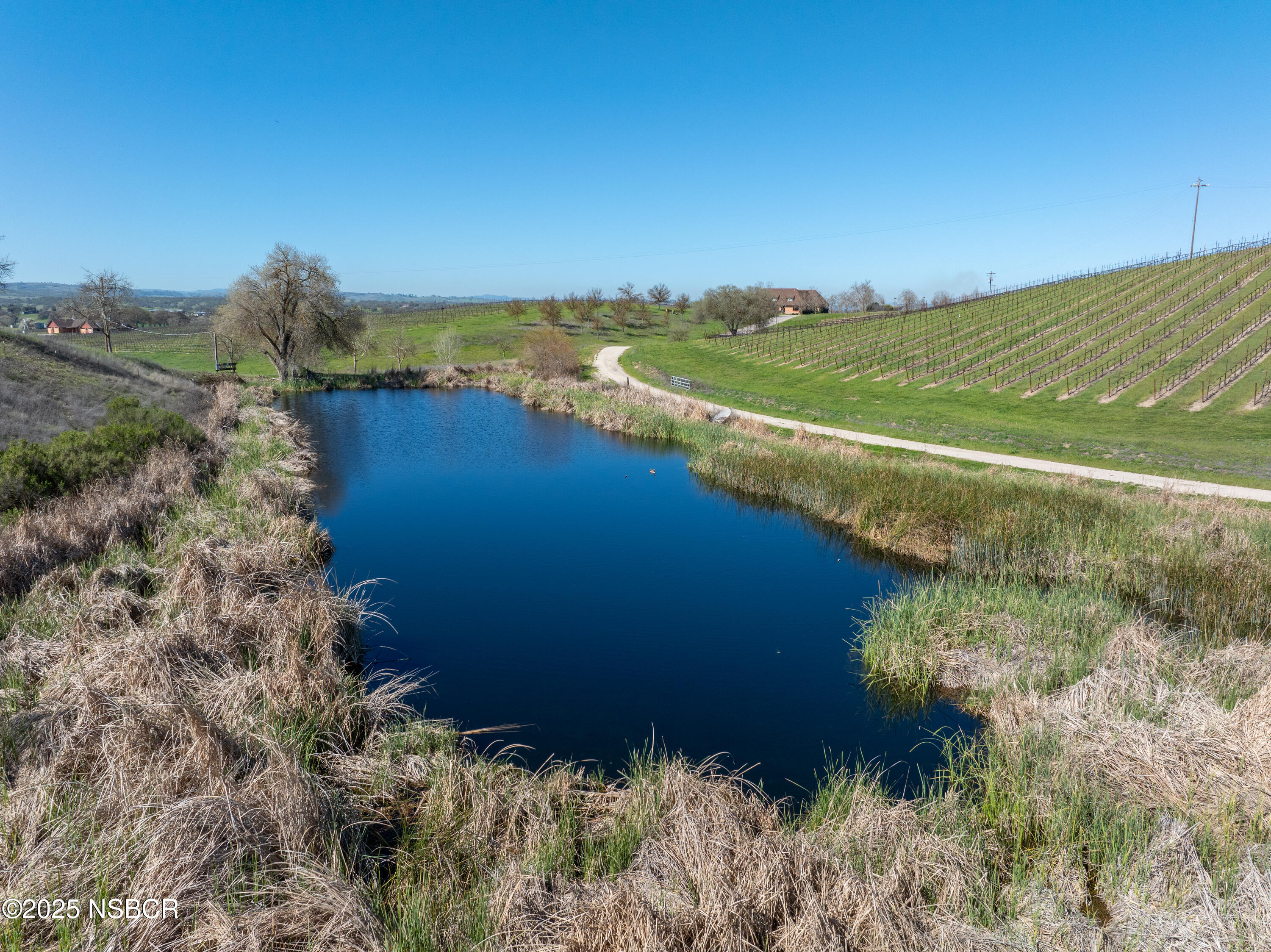 5010 Gate 4 Road Paso Robles, CA 93446 - Photo 47 of 57 a view of a lake with a yard