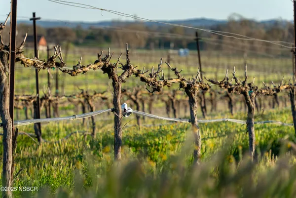a living room with furniture a dining table and large windows