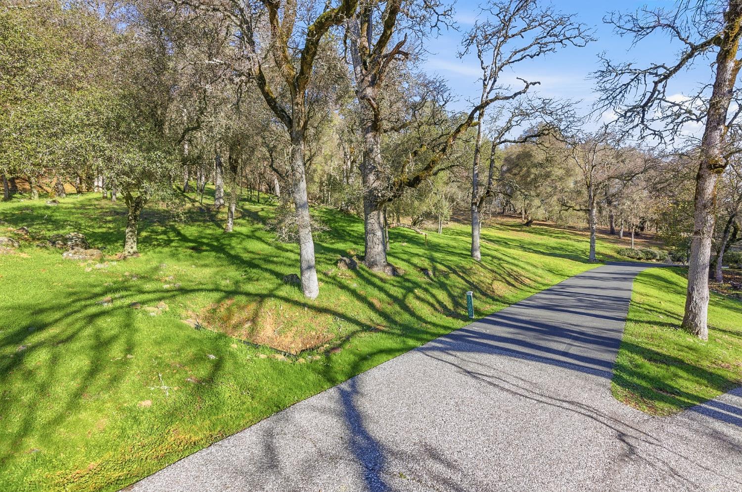 17054 Brewer Road Grass Valley, CA 95949 - Photo 2 of 8 a green field with trees in the background