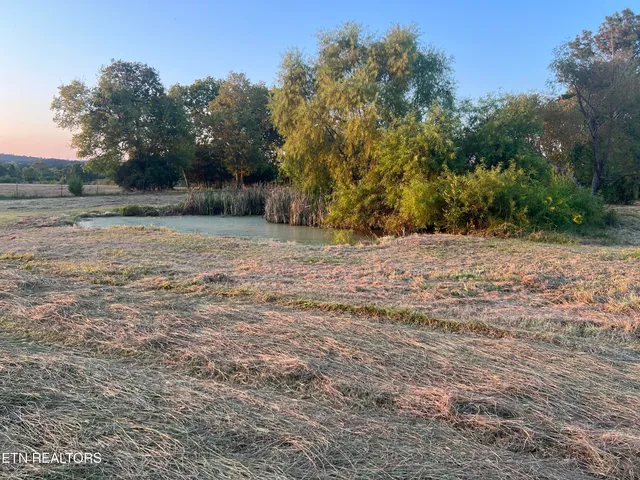 $670,000 | 6978 Old Dixie Highway, Spring City, TN 37381