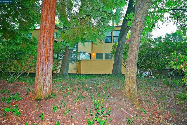 a backyard of a house with lots of green space
