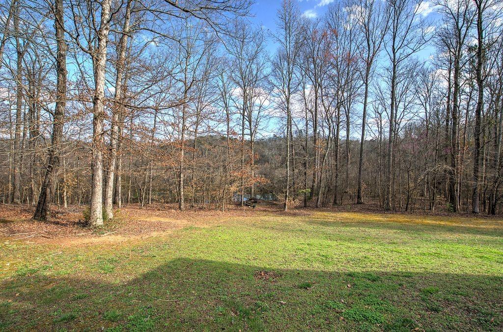 76 Shotgun Road Northwest Cartersville, GA 30121 - Photo 65 of 74