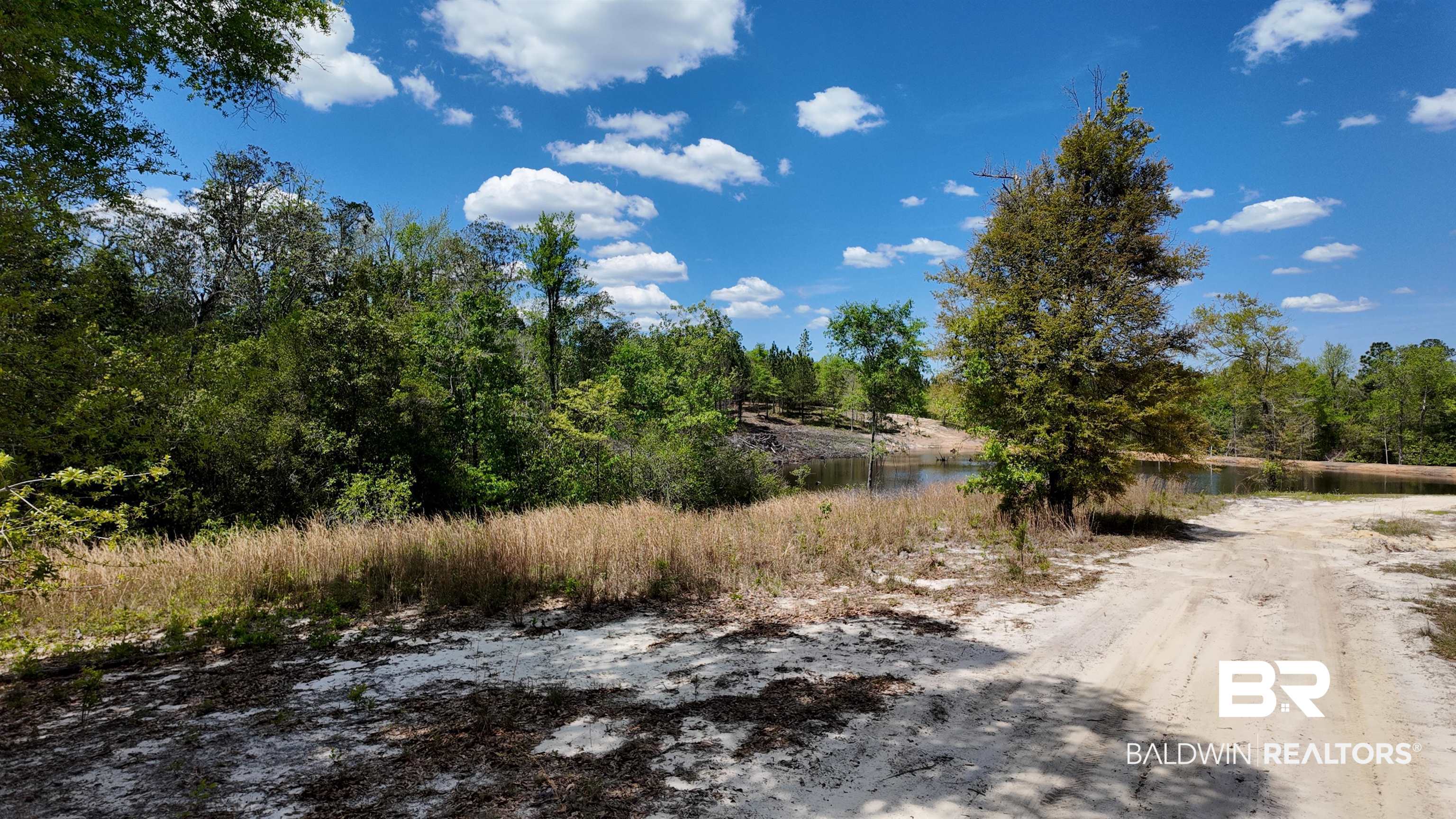 0 Powell Road Eight Mile, AL 36613 - Photo 35 of 57