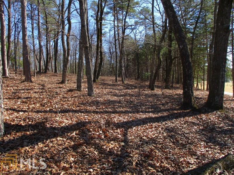 1000 McIntosh Road Clarkesville, GA 30523 - Photo 1 of 1 Gallery Image 1