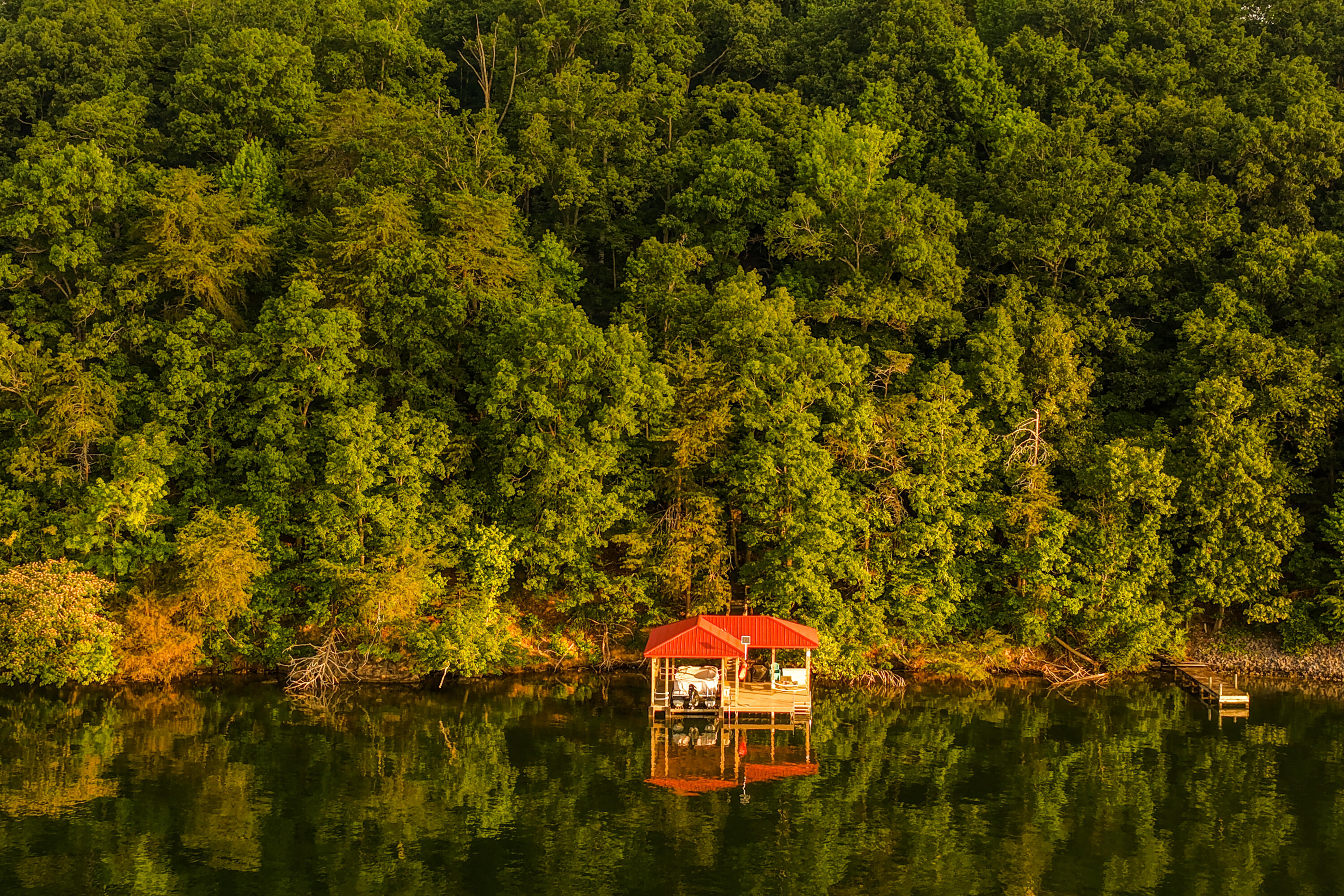 260 Lakeside Lodge Road Spring City, TN 37381 - Photo 160 of 175 LakesideDrone-61