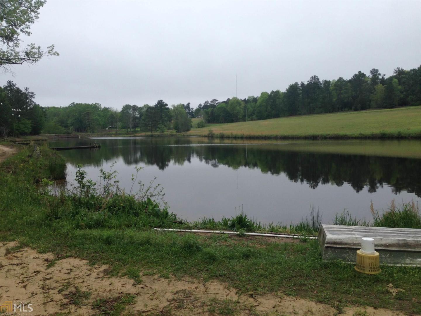 336 Crossroad School Road Butler, GA 31006 - Photo 1 of 1