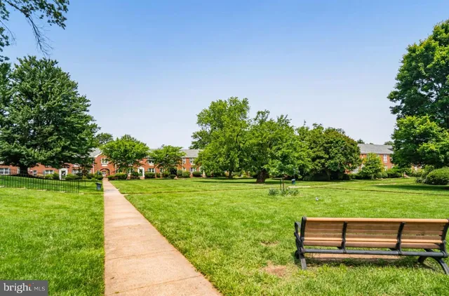 a view of a park with large trees