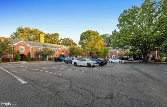 a view of a park with large trees