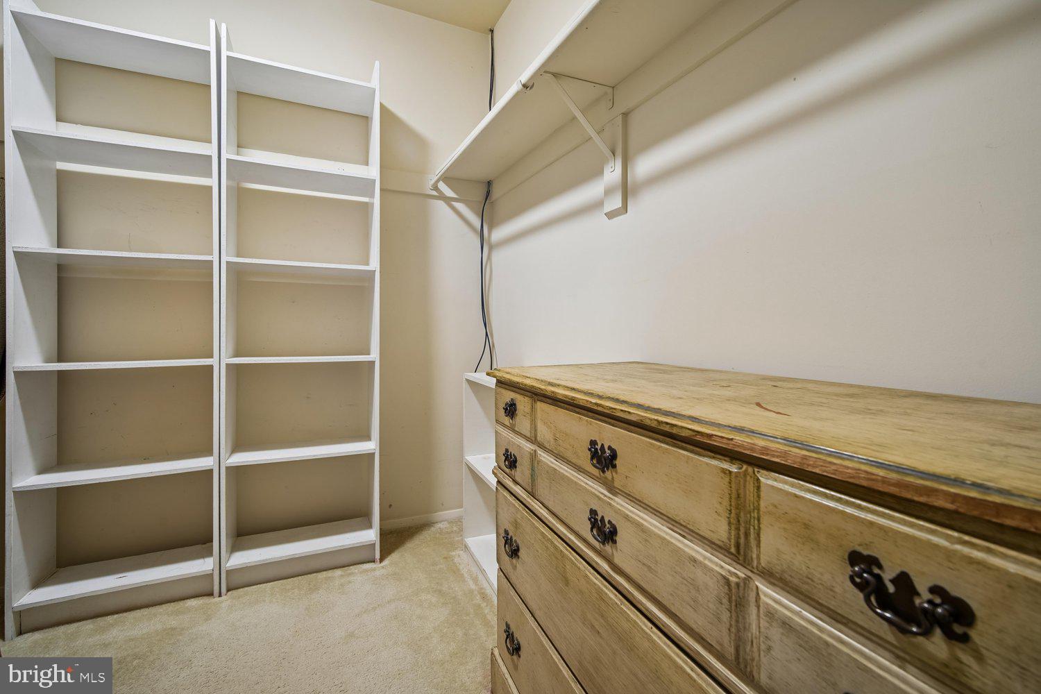 9926 Walker House Road, Unit 99263 Gaithersburg, MD 20886 - Photo 30 of 63 Walk in Closet