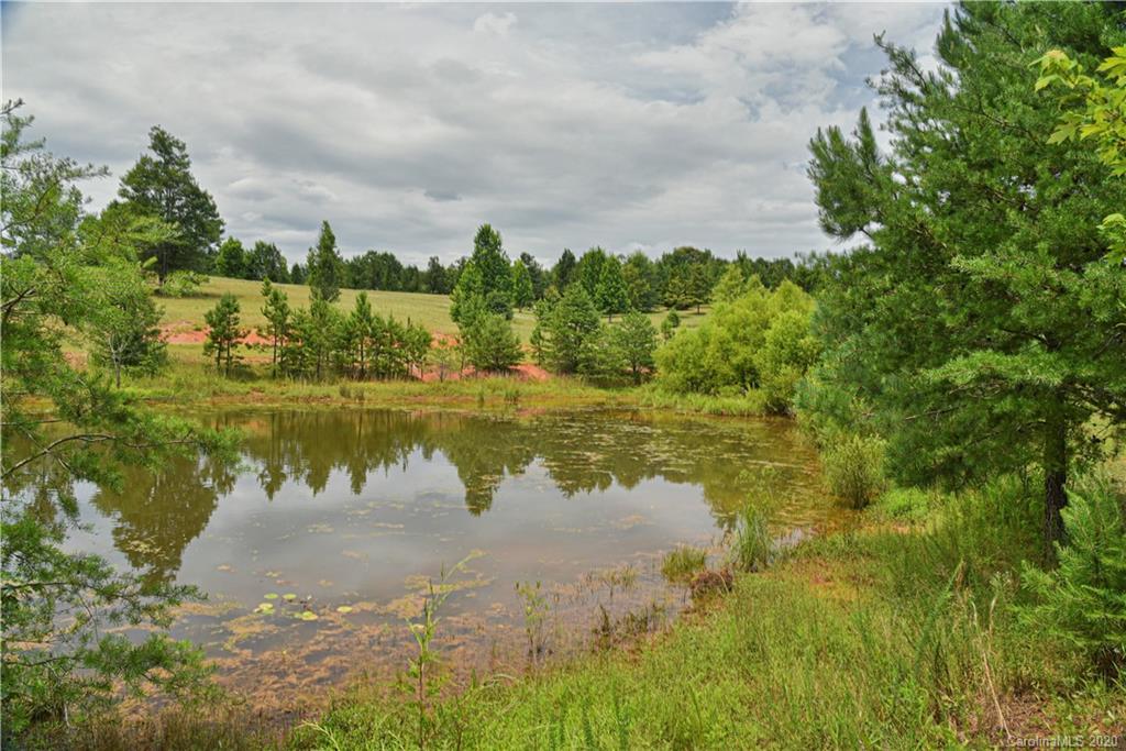 359 Dark Corner Road Rutherfordton, NC 28139 - Photo 10 of 36 a view of a lake from a yard