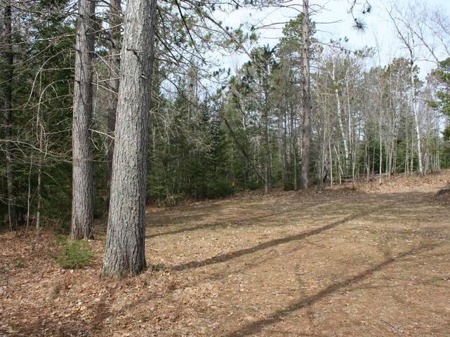 7219 Bluegill Lake Road Lake Tomahawk, WI 54539 - Photo 4 of 20 Gallery Image 4