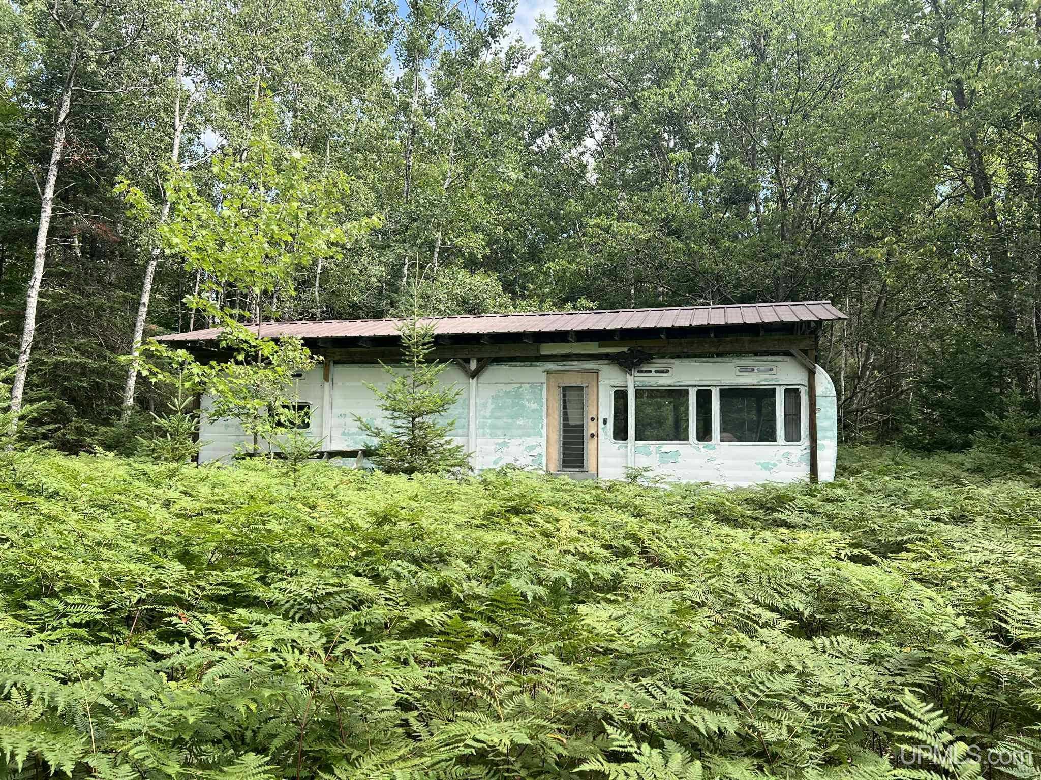 Lake Street Germfask, MI 49836 - Photo 11 of 36