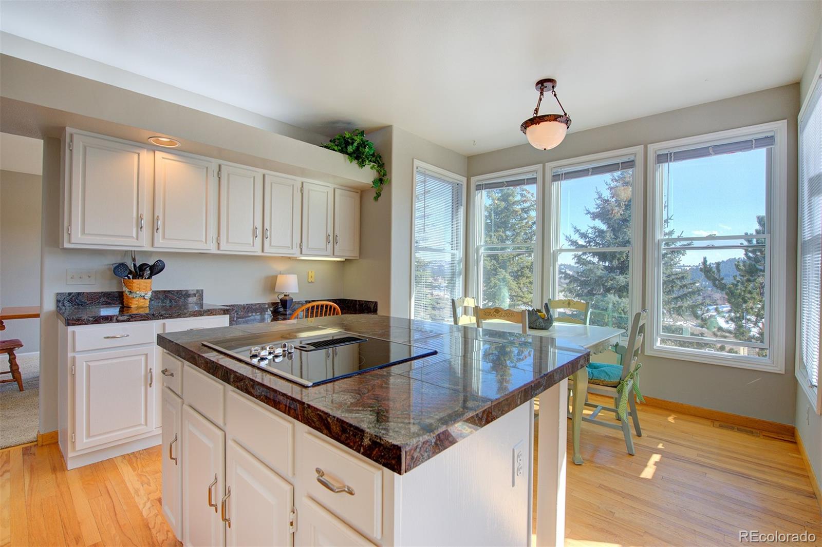 352 Paradise Road Golden, CO 80401 - Photo 8 of 34 Gallery Image 8