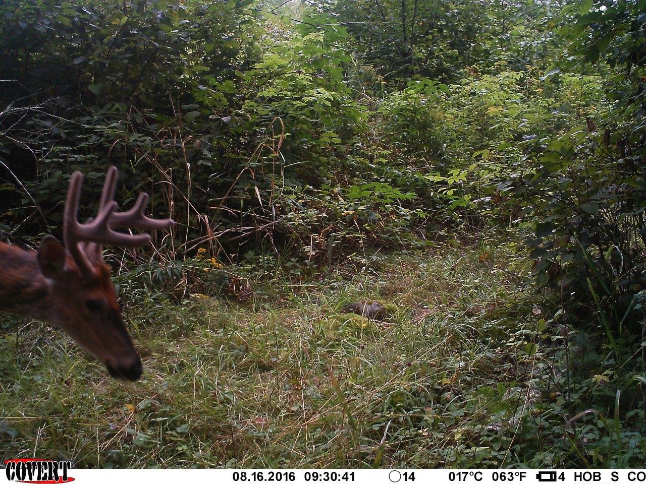 N6114 Grunseth Road Glen Flora, WI 54526 - Photo 12 of 25 Gallery Image 12