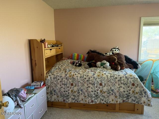 61 Rivers Road Smith, NV 89430 - Photo 37 of 57 a bed sitting in a bedroom next to a window with dresser