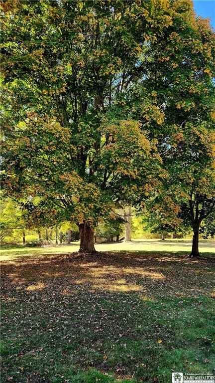 2323 5 Mile Road Allegany, NY 14706 - Photo 14 of 30 Yard