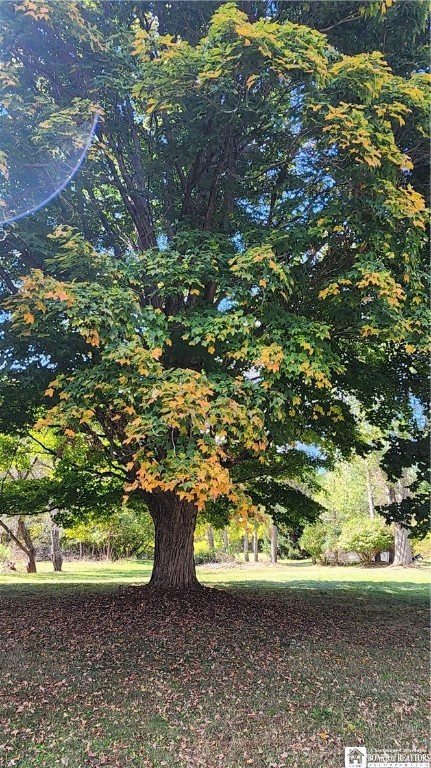 2323 5 Mile Road Allegany, NY 14706 - Photo 27 of 30