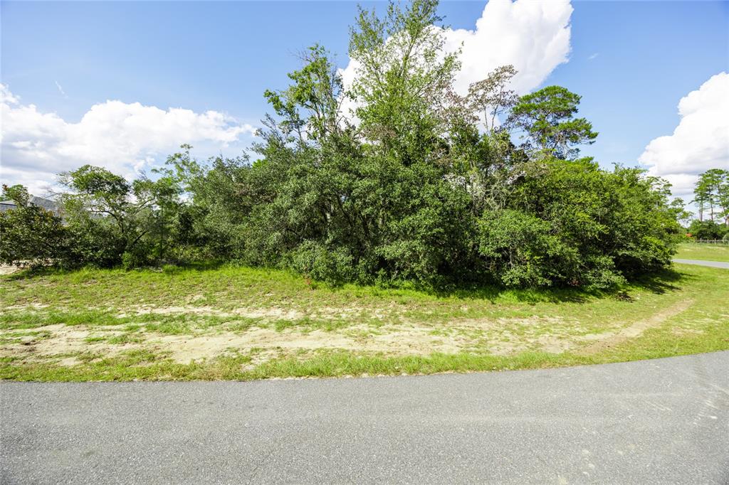 Tbd Southwest Tbd Sw 178th Lane Road Ocala, FL 34473 - Photo 1 of 1 Gallery Image 1