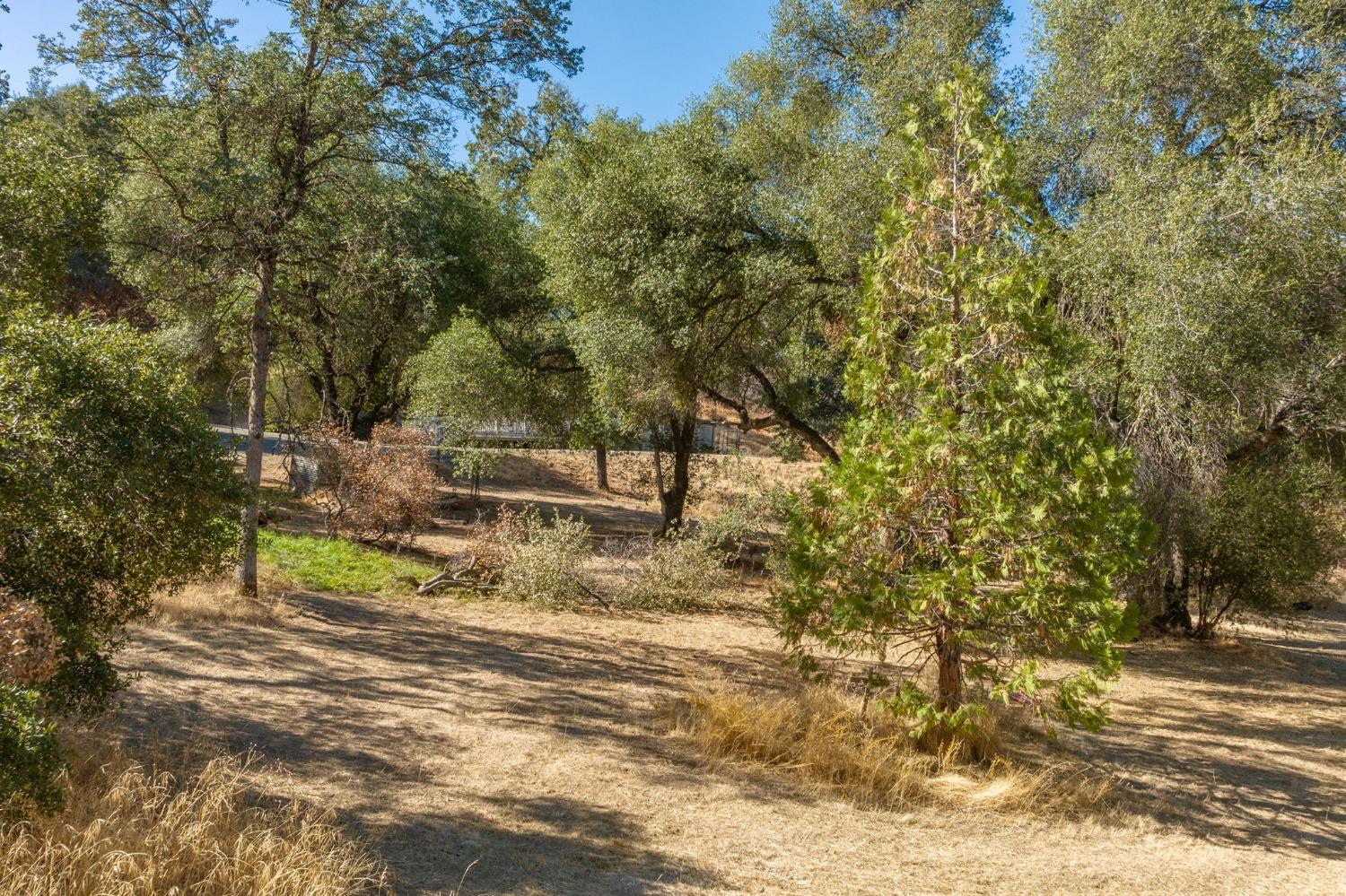 4975 Streeter Mountain Road Mariposa, CA 95338 - Photo 36 of 56 Gallery Image 36