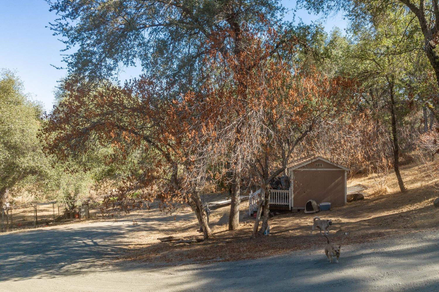 4975 Streeter Mountain Road Mariposa, CA 95338 - Photo 40 of 56 Gallery Image 40