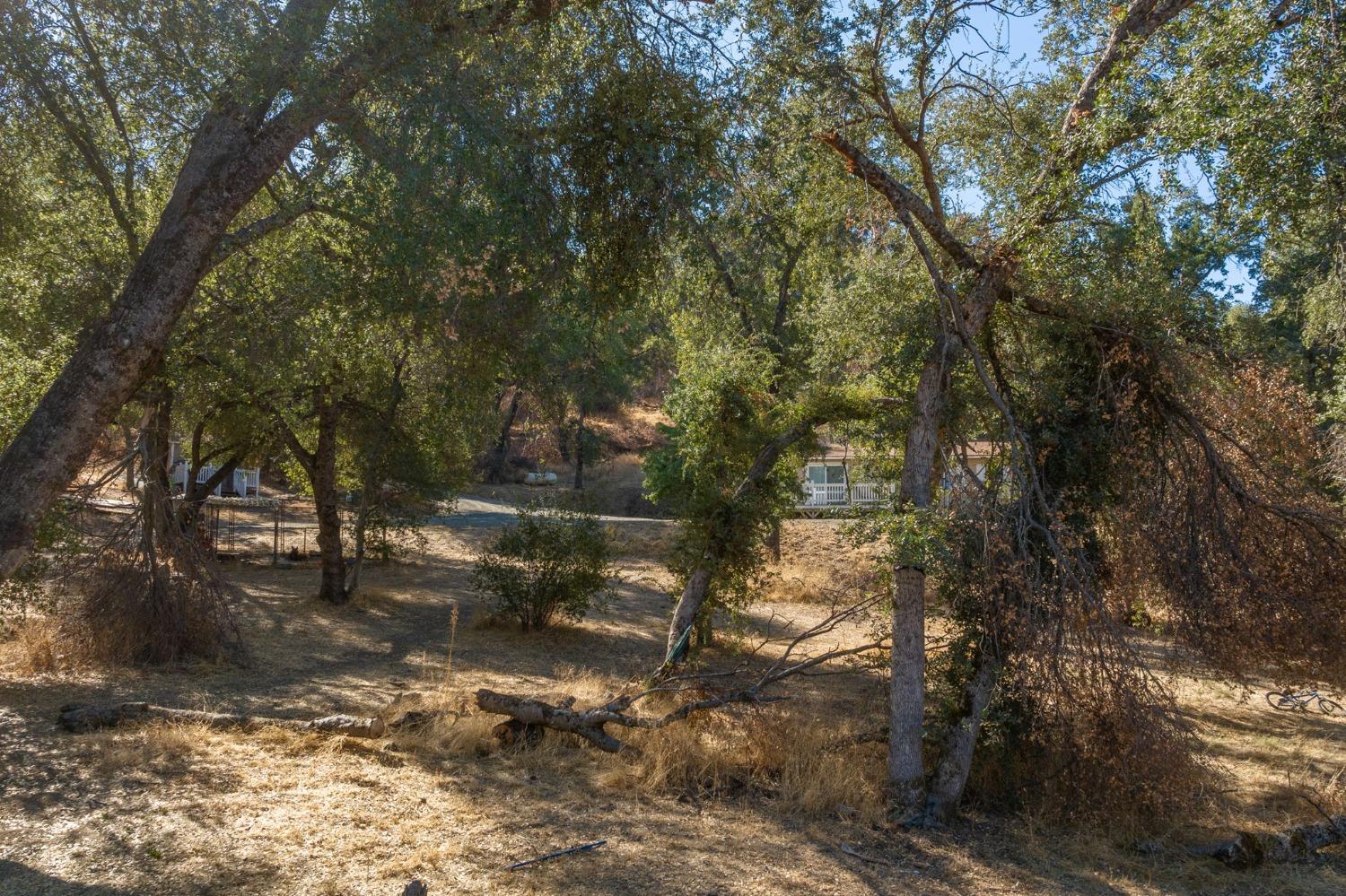 4975 Streeter Mountain Road Mariposa, CA 95338 - Photo 47 of 56 Gallery Image 47