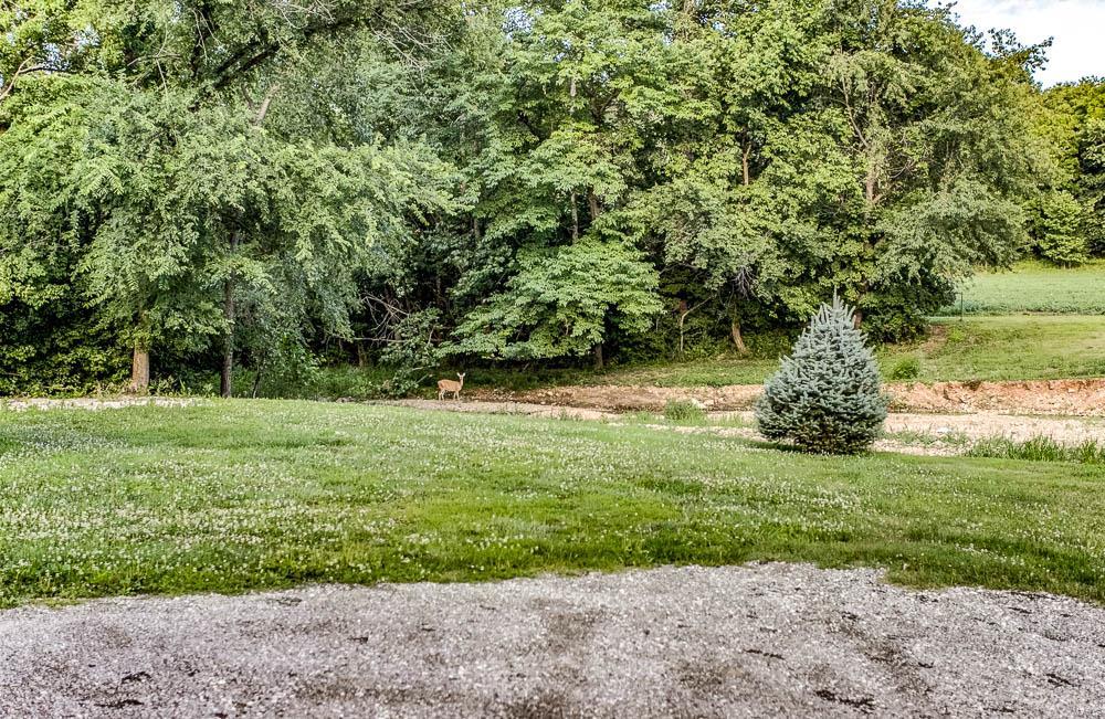 677 Stearns Hollow Road Nebo, IL 62355 - Photo 54 of 64 Gallery Image 54
