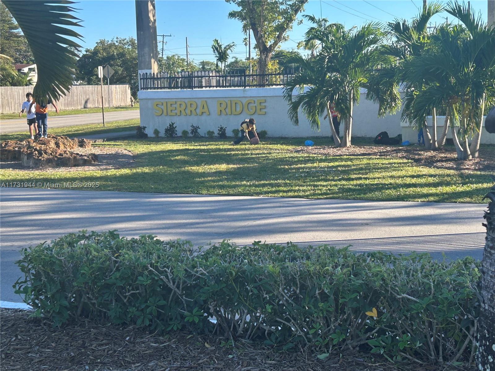 a view of a yard with a large tree