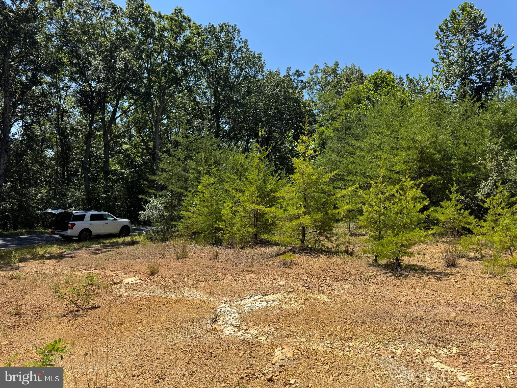 390 Fletcher Road Gore, VA 22637 - Photo 11 of 19 a view of backyard with outdoor space