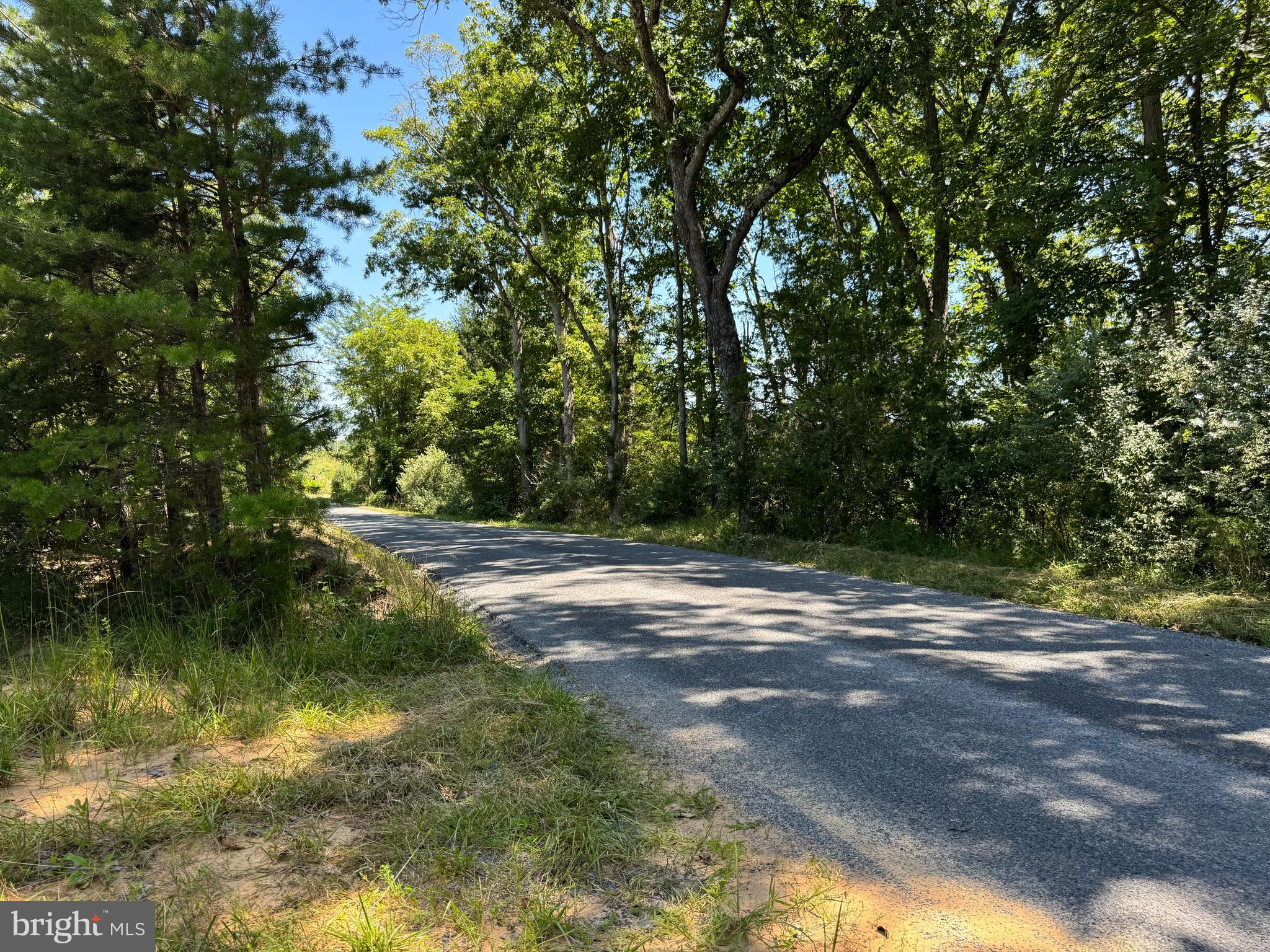 390 Fletcher Road Gore, VA 22637 - Photo 3 of 19 a view of a yard with a tree