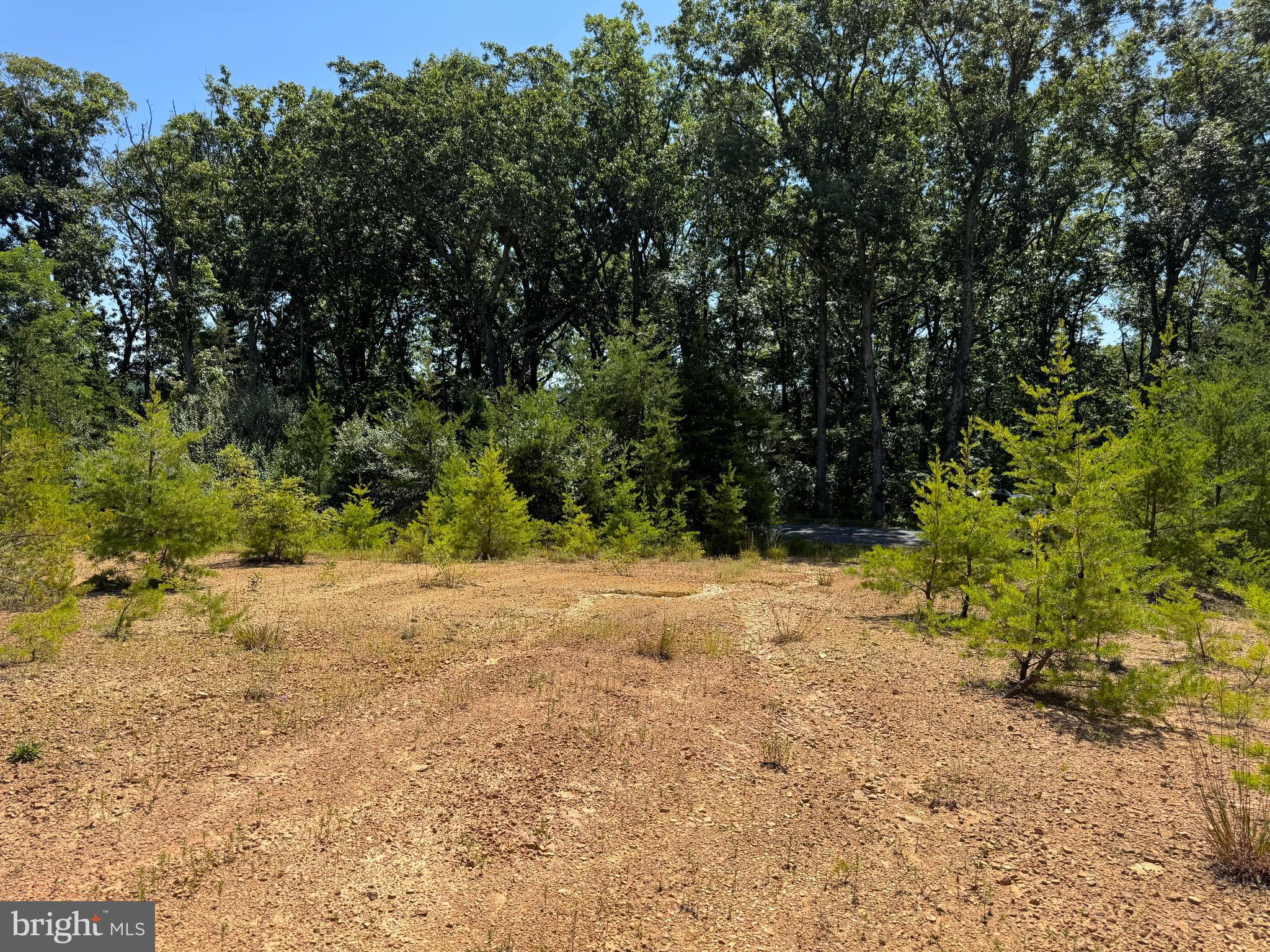 390 Fletcher Road Gore, VA 22637 - Photo 6 of 19 a view of an trees with yard