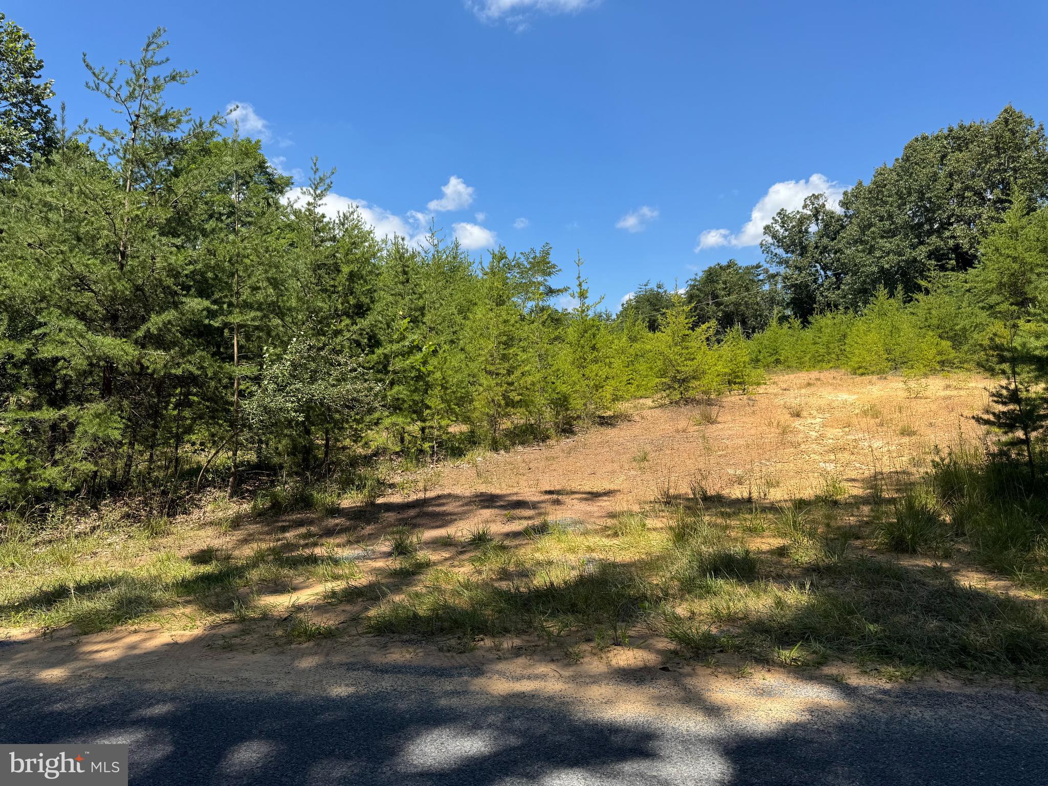 390 Fletcher Road Gore, VA 22637 - Photo 9 of 19 a view of a yard with a tree