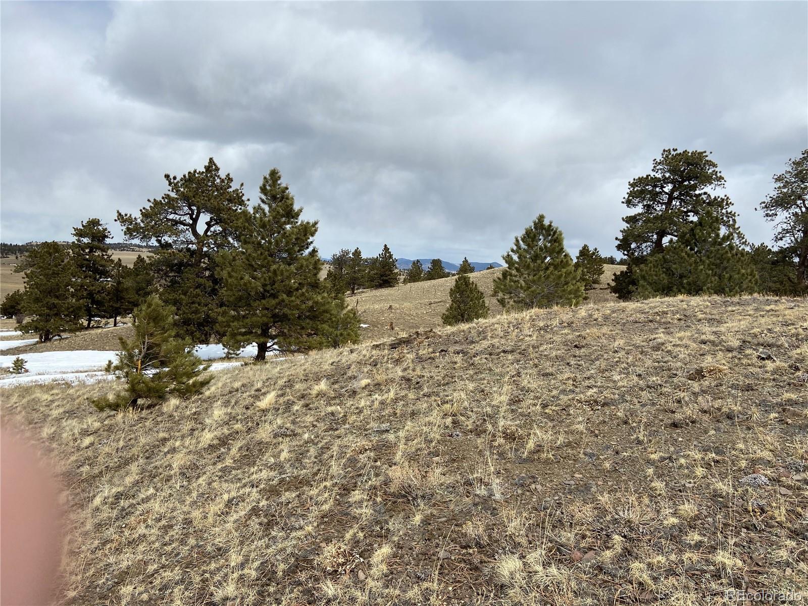 0 Chica Road Hartsel, CO 80449 - Photo 6 of 13 Gallery Image 6