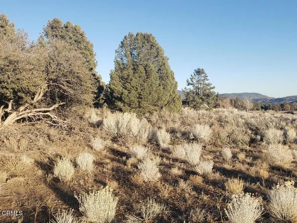 $91,000 | 0 Boy Scout Camp Road, Frazier Park, CA 93225