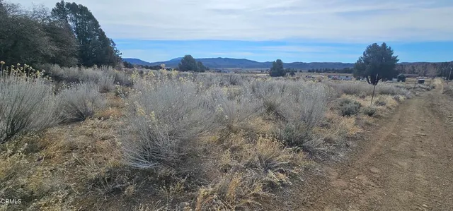$91,000 | 0 Boy Scout Camp Road, Frazier Park, CA 93225