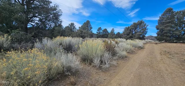 $91,000 | 0 Boy Scout Camp Road, Frazier Park, CA 93225