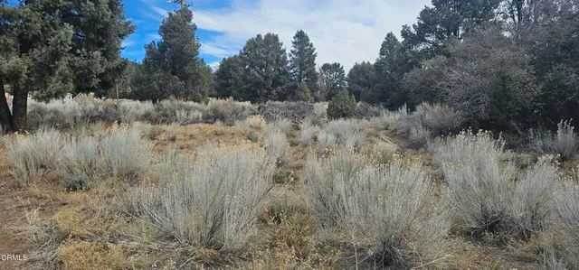 $91,000 | 0 Boy Scout Camp Road, Frazier Park, CA 93225