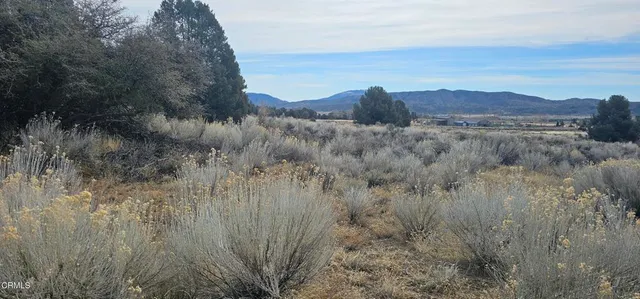 $91,000 | 0 Boy Scout Camp Road, Frazier Park, CA 93225