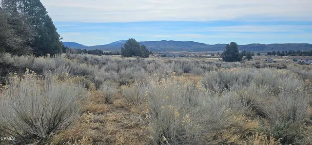 $91,000 | 0 Boy Scout Camp Road, Frazier Park, CA 93225