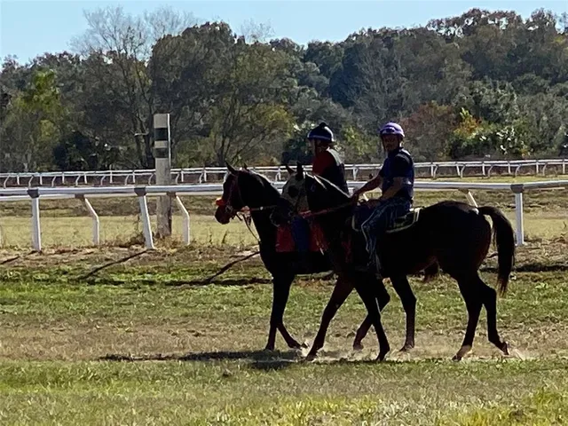 $9,500,000 | 12020 North US Highway 441, Ocala, FL 34475