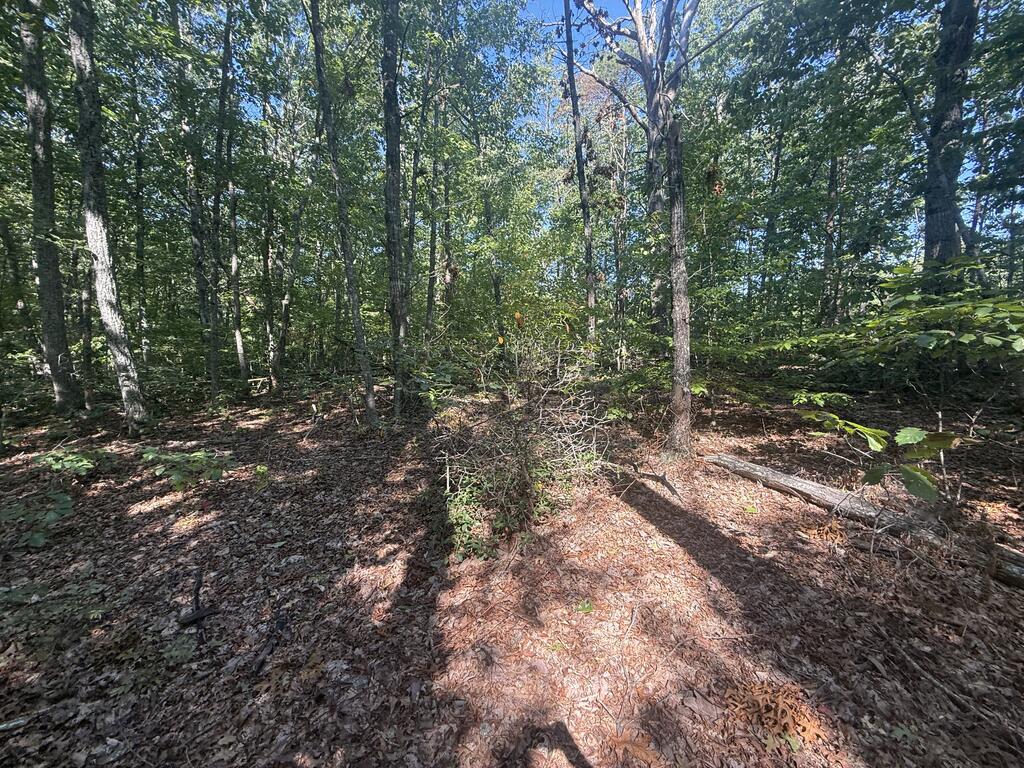 Dixie Hill Road Buckingham, VA 23921 - Photo 3 of 5 Gallery Image 3