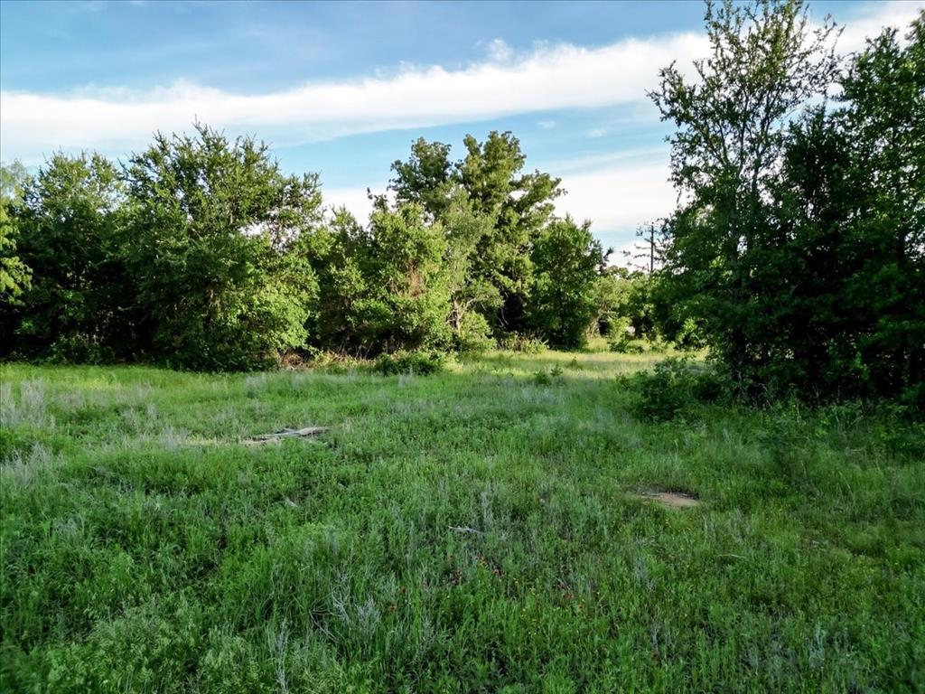 Tbd Tbd Rambling Road Perrin, TX 76486 - Photo 11 of 21 a view of green field with trees in the background
