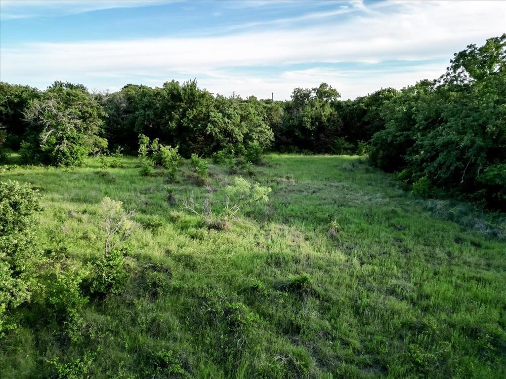Tbd Tbd Rambling Road Perrin, TX 76486 - Photo 17 of 21 a view of a lush green space