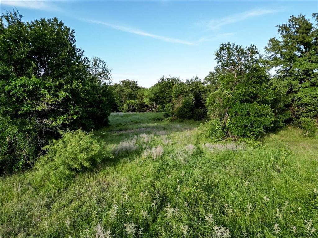Tbd Tbd Rambling Road Perrin, TX 76486 - Photo 20 of 21 a view of a lush green space