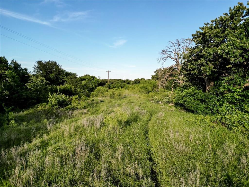 Tbd Tbd Rambling Road Perrin, TX 76486 - Photo 9 of 21 a view of a field of grass and trees