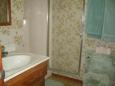 323 Bluebird Avenue Crown Point, IN 46307 - Photo 9 of 10 398x298