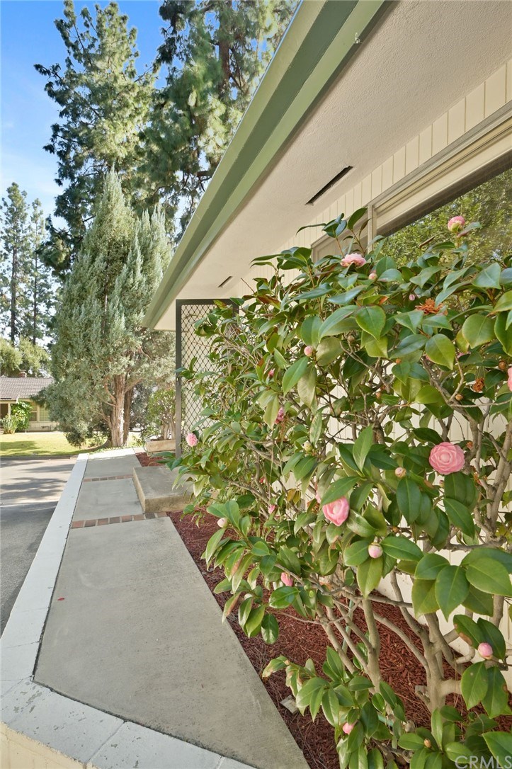 2201 Highland Vista Drive Arcadia, CA 91006 - Photo 35 of 41