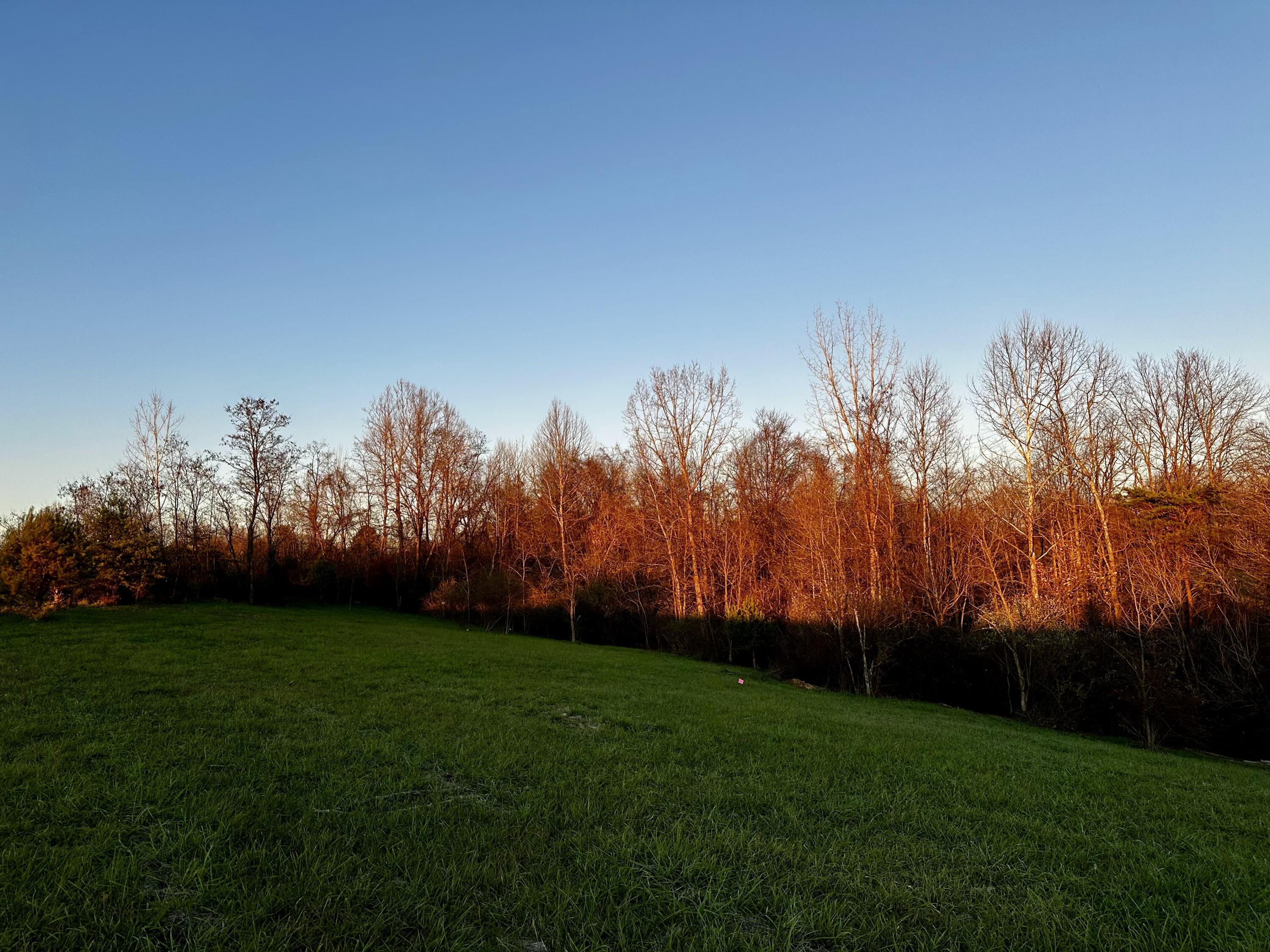 7408 Dutch Ridge Road, Unit TRACT 3 AT DUTCH RIDGE) New Straitsville, OH 43766 - Photo 27 of 29 20241111_220325153_iOS