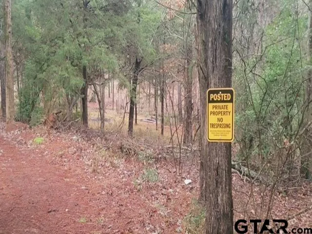a view of a trees with a trees