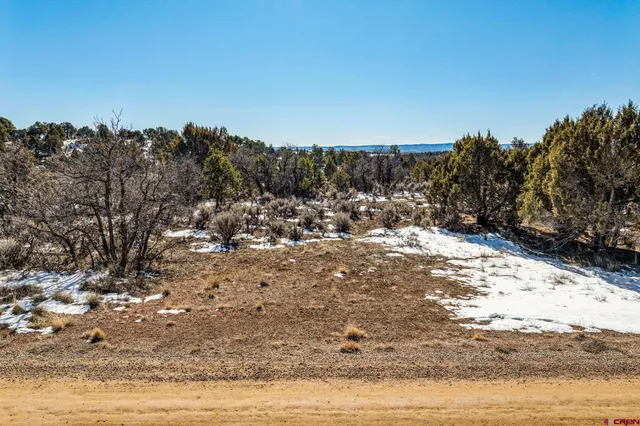 $185,000 | Tbd Farraday Road, Durango, CO 81303